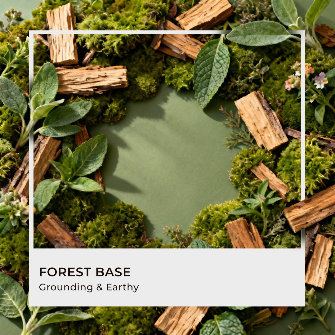 Forest Base