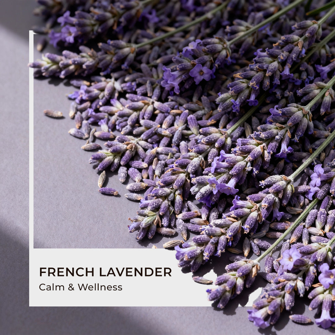 French Lavender