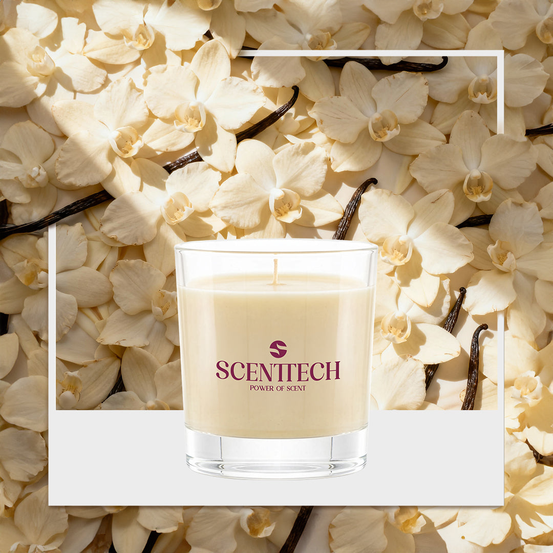 Vanilla Swirl - Scented Candle