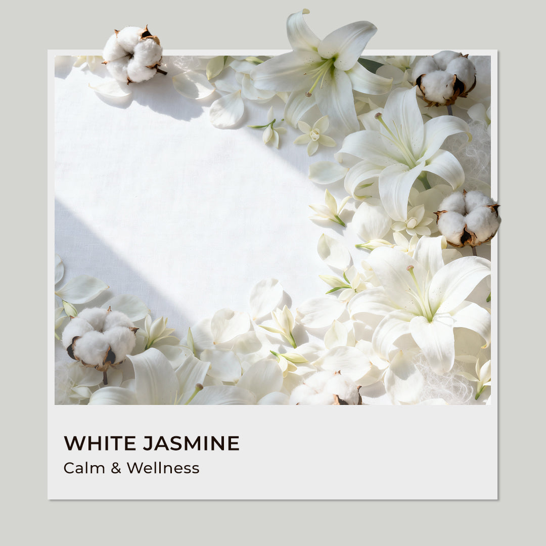 White Jasmin