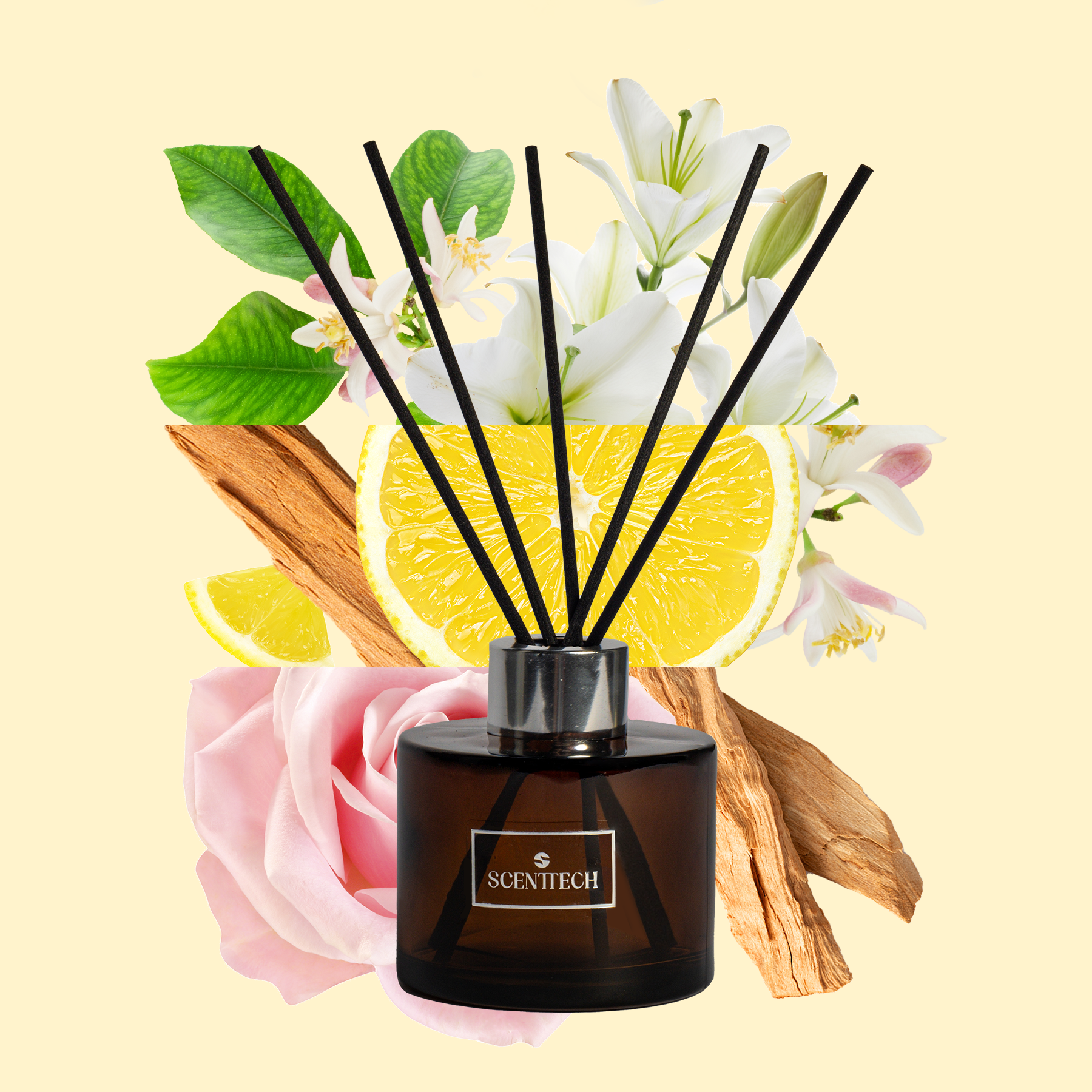 Bliss - Reed Diffuser