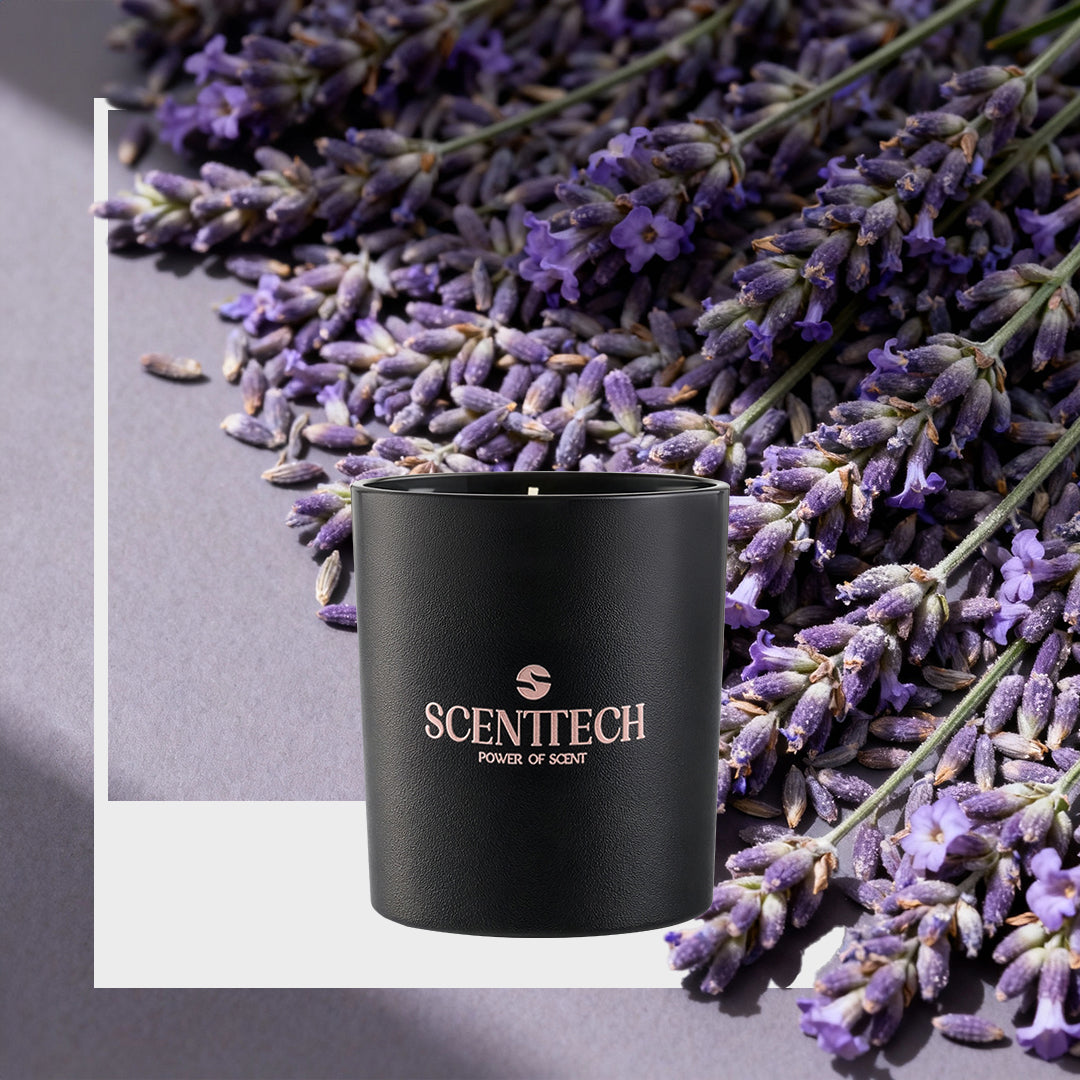 Lavender - Scented Candle