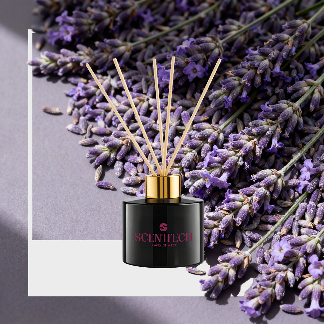 Lavender - Reed Diffuser
