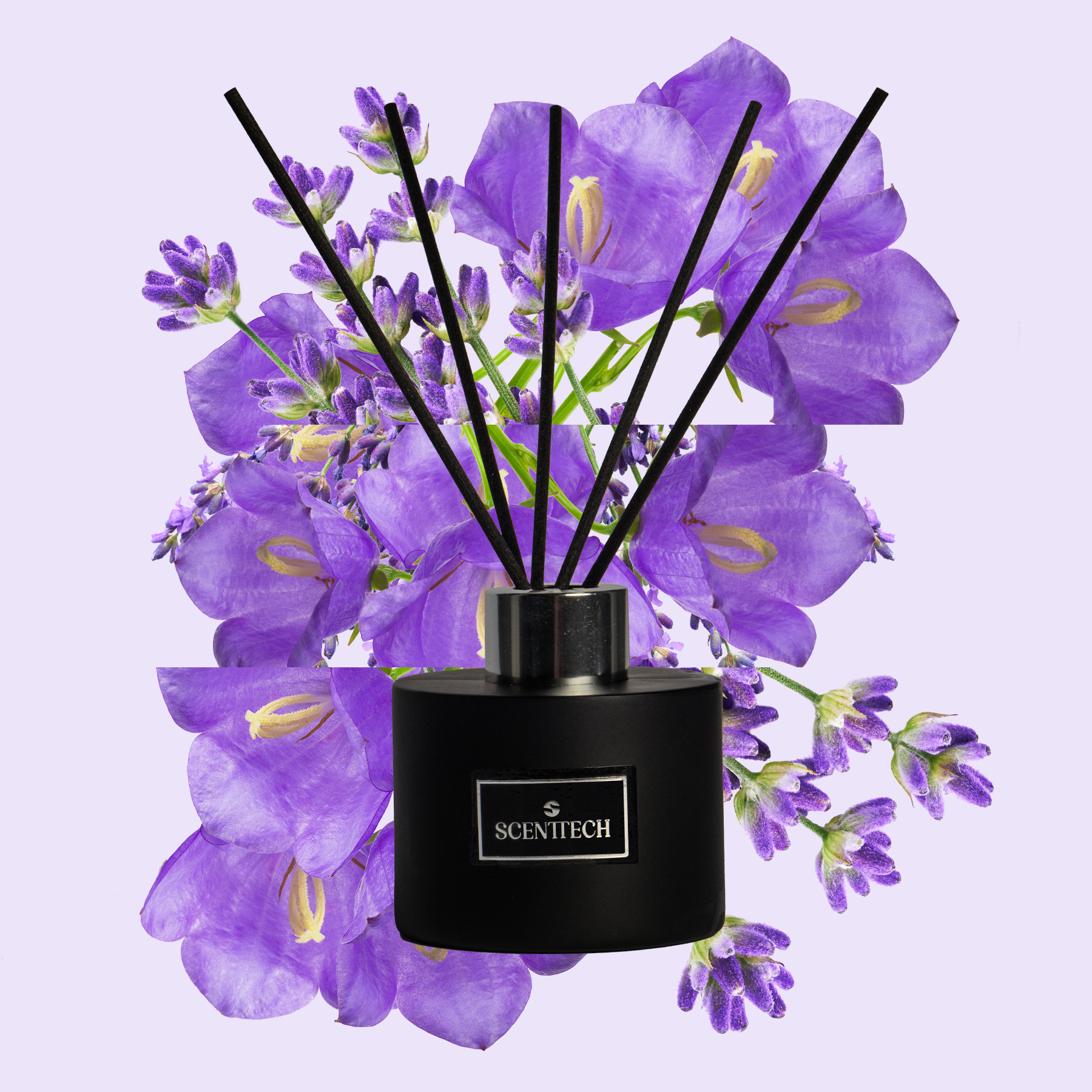 Lavender - Reed Diffuser