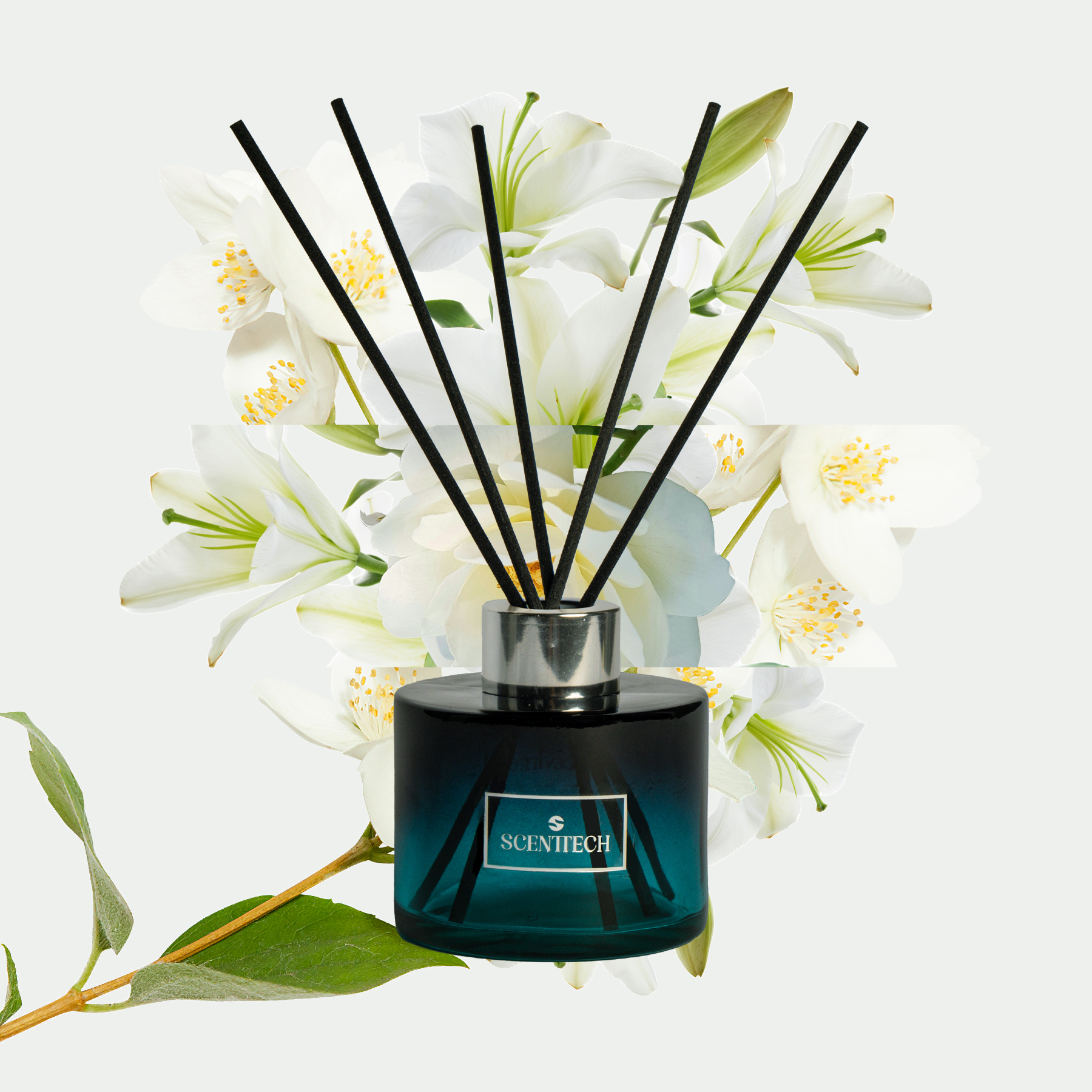 Jasmine Dream - Reed Diffuser