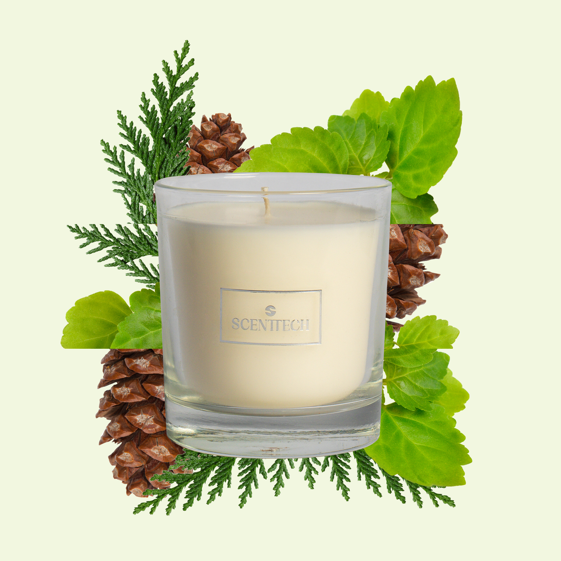 Woody Whispers - Scented Candle