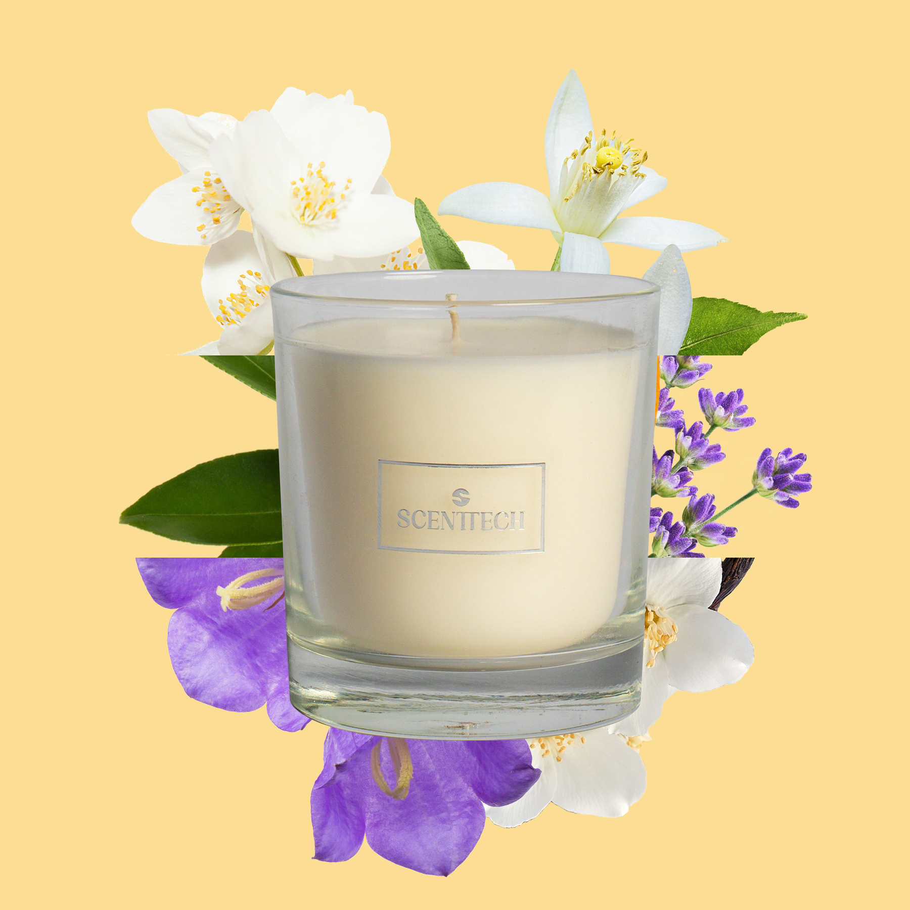 Petal Pops - Scented Candle