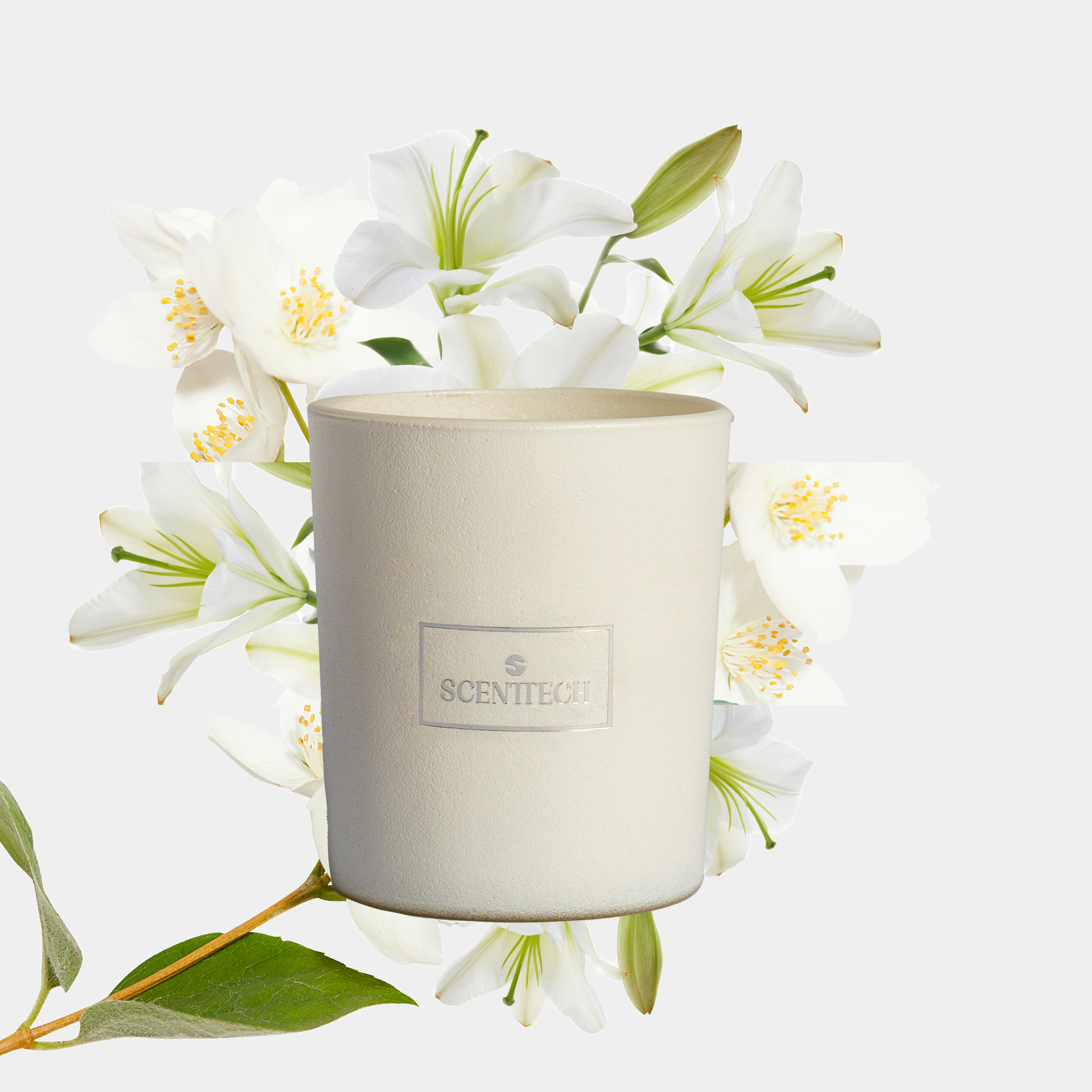 Jasmine Dream - Scented Candle