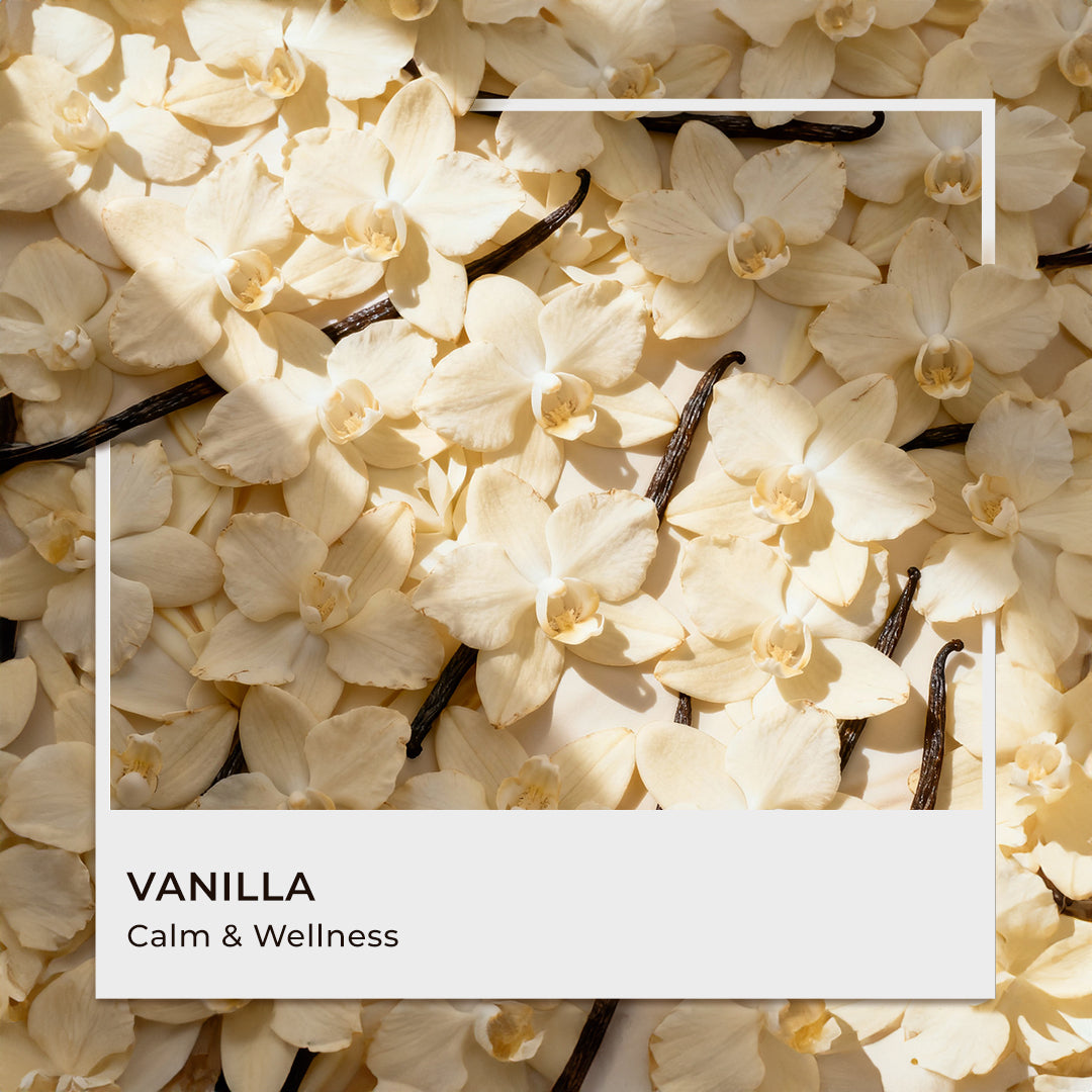 Vanilla