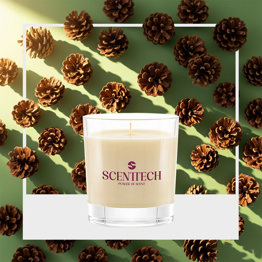 Woody Whispers - Scented Candle